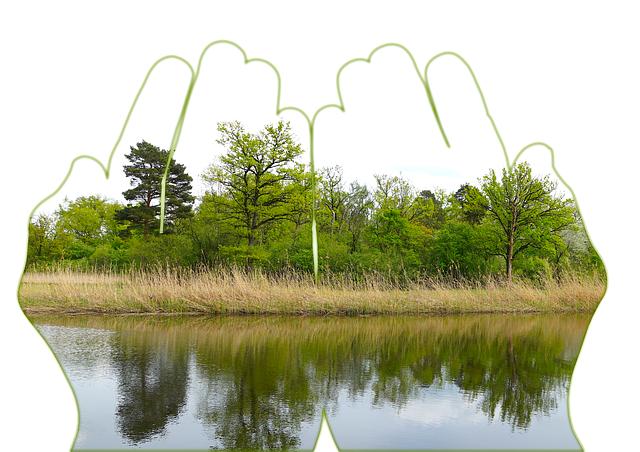 Posting Content on OnlyFans: Ideas and Inspiration 11 Maintaining Authenticity and Personality in Each Post