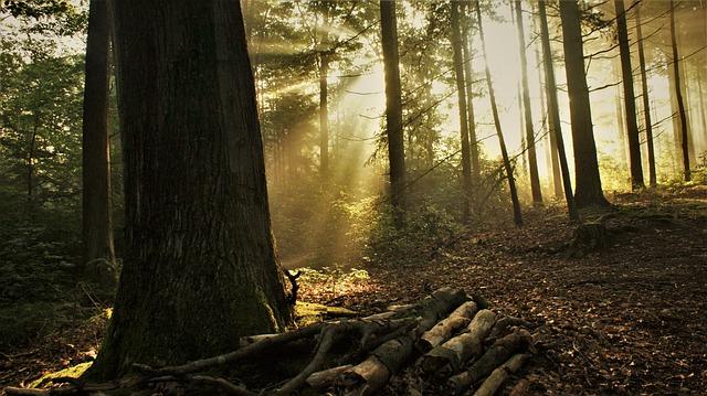 Misty ray Onlyfans Leak | Is OF worth the price of participation? 4 Review of Misty Ray's Content on Onlyfans