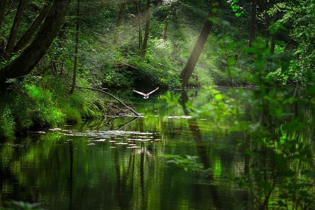 Top Femboy OnlyFans: Dive into the World of Unique Creators! 5 - Expanding Your Horizons: Discovering New Femboy OnlyFans Accounts