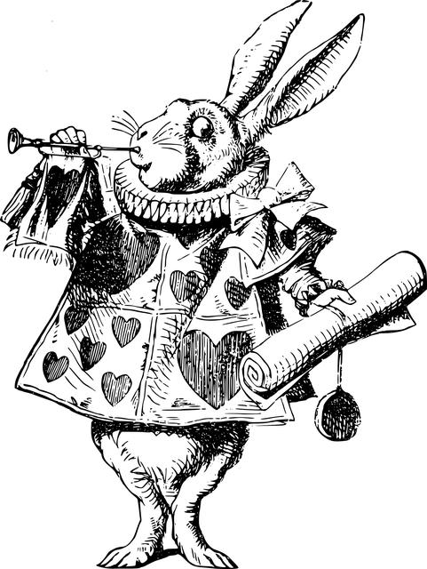 Alice Dry vs Wet OnlyFans: Exploring Different Content Styles! 3 Exploring the Unique Styles of Alice and Dry OnlyFans