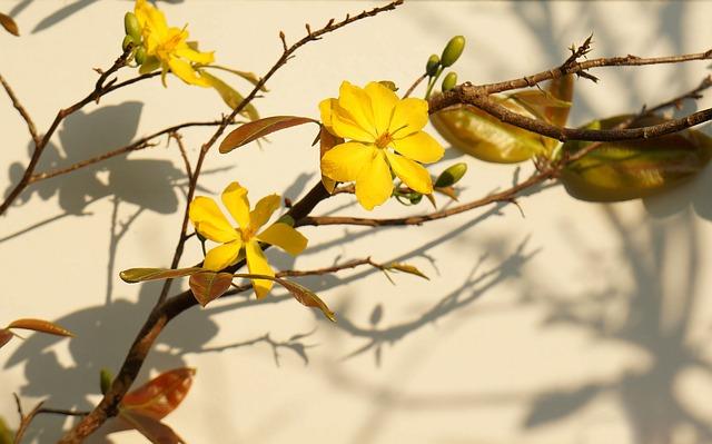 - Join the Exclusive Club of Busty Content Connoisseurs