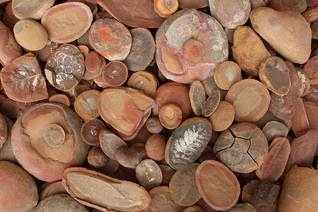 TikTok Titans: Top TikTok Stars on OnlyFans Unveiled 9 Content Evolution: TikTok Stars Showcasing a Different Side on OnlyFans