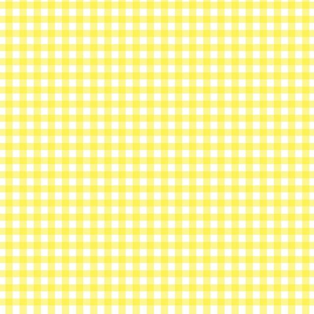 Does OnlyFans Show Up on a Background Check? Privacy Concerns Discussed 3 Clarifying the Level of Disclosure on Background Checks for OnlyFans