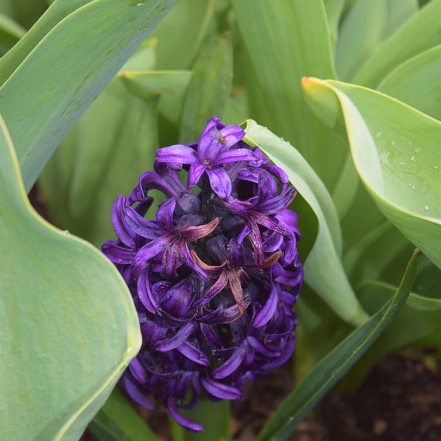 Top Hidden Gems ‌in the Cook Onlyfans⁣ Community