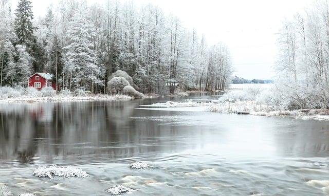 Behind-the-Scenes Access to Top Chefs'‍ Techniques