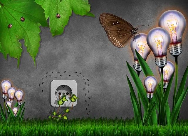 Best Cameras for OnlyFans: Capture Your Best Angles! 5 - Best Budget-Friendly Cameras for Stunning OnlyFans Content